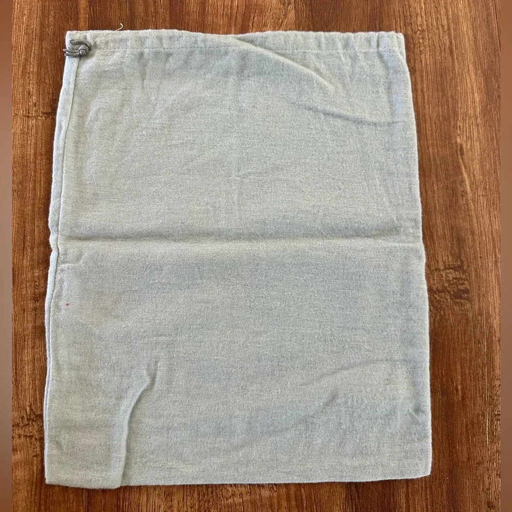Authentic Giuseppe Zanotti dust bag
